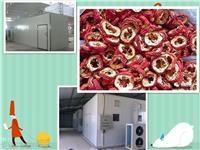 山楂片干燥機的原理、分類及其在食品工業中的重要作用